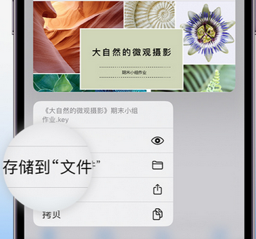 同德apple维修中心分享iPhone文件应用中存储和找到下载文件