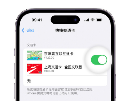 同德apple维修点分享iPhone上更换Apple Pay快捷交通卡手绘卡面 