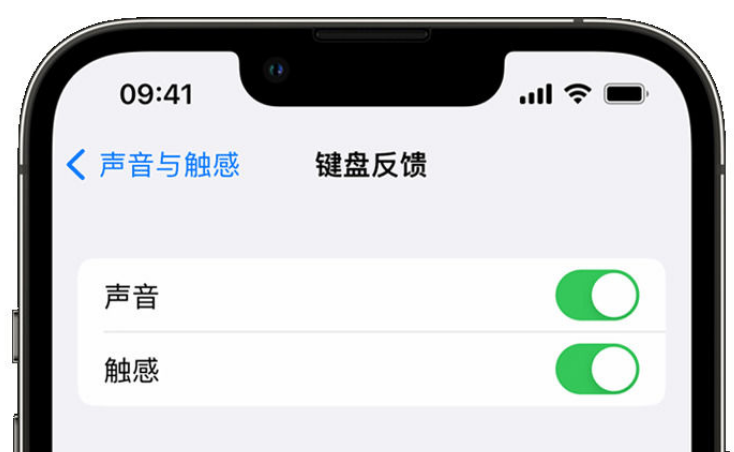 同德苹果手机维修分享iPhone 14触感键盘使用方法 