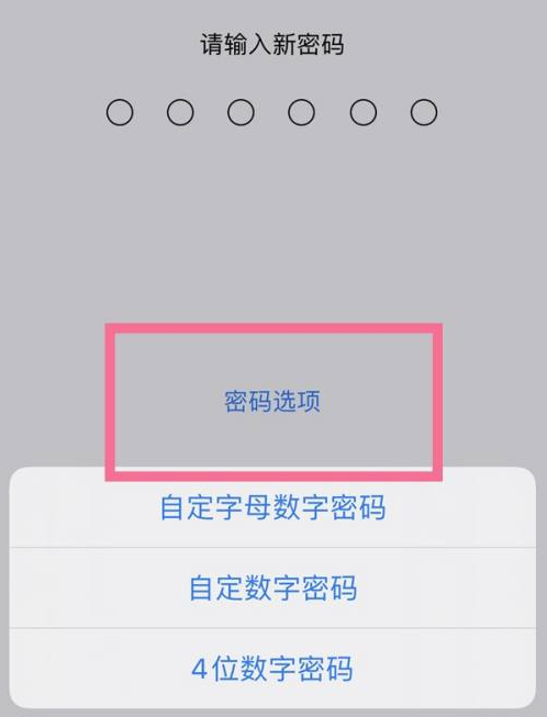 同德苹果14维修分享iPhone 14plus设置密码的方法 