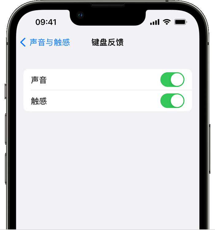 同德苹果14维修分享iPhone 14 系列机型如何开启键盘声音或触感反馈 