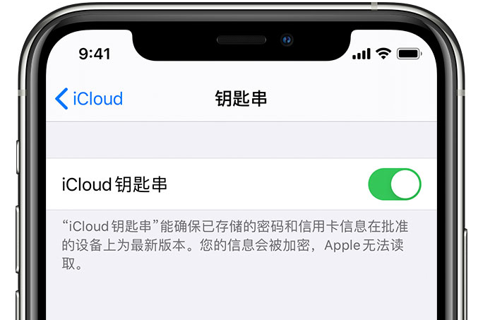 同德苹果手机维修分享在 iPhone 上开启 iCloud 钥匙串之后会储存哪些信息 