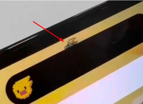 同德苹果14维修分享iPhone 14 Pro Max灵动岛怎么养宠物 