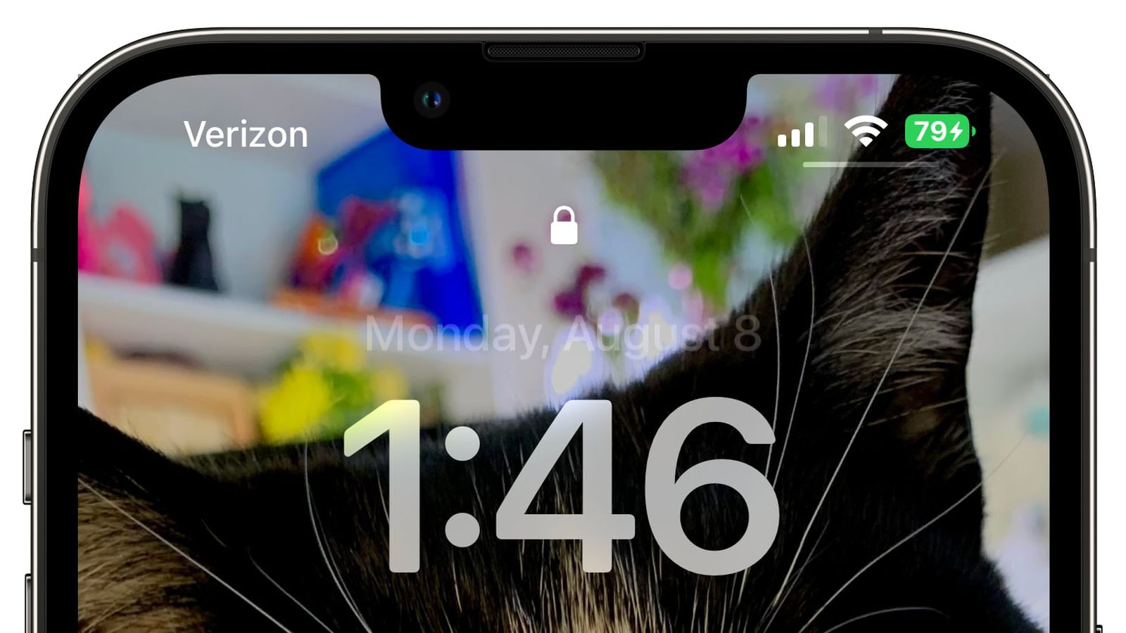 同德苹果手机维修分享iOS 16 beta 5 支持状态栏显示电池百分比，如何开启？支持哪些机型 