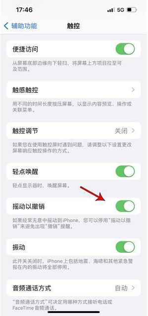 同德苹果手机维修分享iPhone手机如何设置摇一摇删除文字 