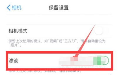 同德苹果13维修分享iPhone13拍照有绿点是怎么回事 