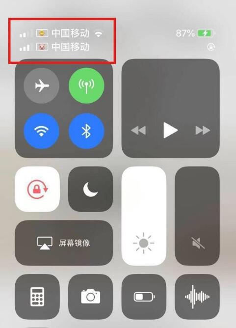 同德苹果手机维修分享为 iPhone 12 双卡设置标签 